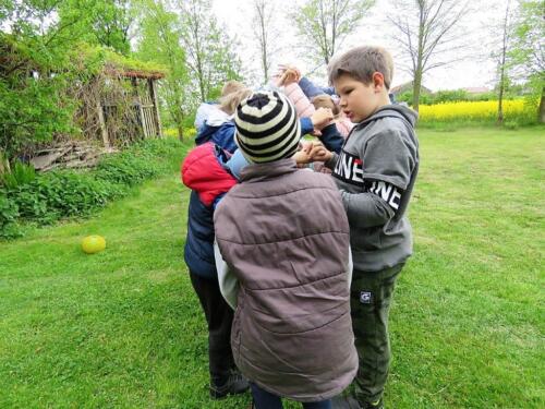 IMG 5675